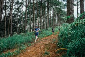 BIB: 
                            <button type="button" onclick="openModal(25690358)" class="btn btn-primary btn-sm float-right btn-popup" data-toggle="modal" data-target=".modal-high-quality">
                        <i class="fas fa-shopping-cart"></i> Add to Cart
                    </button>
                                            <button type="button" onclick="isThisMe(25690358, true)" class="btn btn-success btn-sm float-right btn-popup btn-isme hidden" data-toggle="tooltip" data-placement="bottom" title="นี่คือรูปของคุณใช่ไหม คลิกที่นี่เพื่อเอาเข้าอัลบั้ม">
                        <i class="fas fa-plus"></i> Add to album
                    </button>
                    <button type="button" onclick="isThisMe(25690358, false)" class="btn btn-warning btn-sm float-right btn-popup btn-isnotme hidden">
                        <i class="fas fa-ban"></i> Remove from album
                    </button>